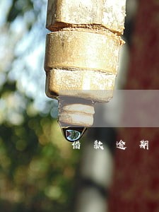 借款逾期利率4倍 借款逾期利率4倍