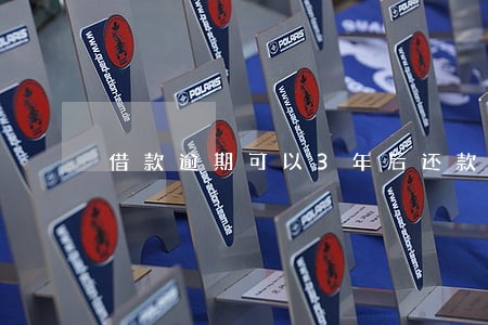 借款逾期可以3年后还款 借款逾期可以3年后还款