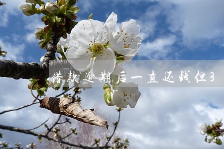 借款逾期后一直还钱但3年 借款逾期后一直还钱但3年