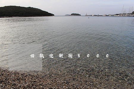 借款逾期图3000