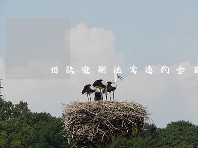 借款逾期法定违约金百分之6 借款逾期法定违约金百分之6