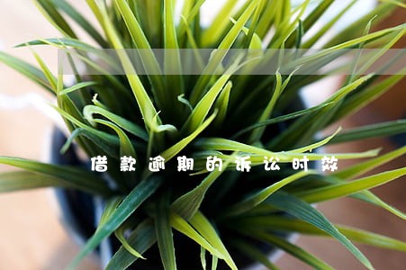 借款逾期的诉讼时效 借款逾期的诉讼时效