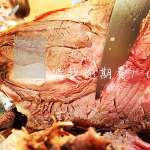 借款逾期费100元 借款逾期费100元
