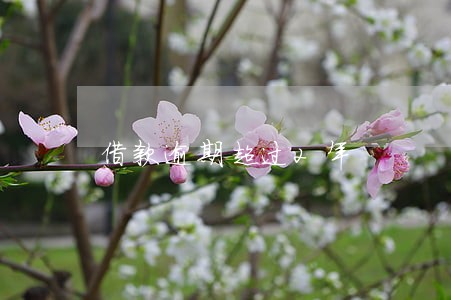 借款逾期超过2年 借款逾期超过2年