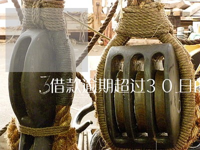 借款逾期超过30日的甲方有权 借款逾期超过30日的甲方有权