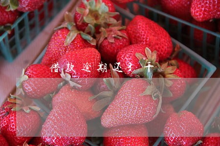 借款逾期还3千 借款逾期还3千
