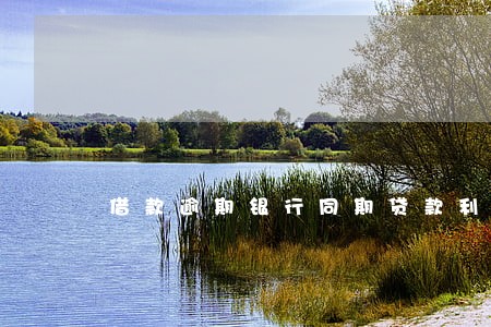 借款逾期银行同期贷款利率 借款逾期银行同期贷款利率