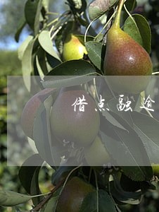 借点融逾期 借点融逾期