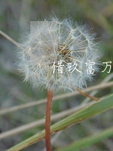 借玖富万卡8万逾期会怎样 借玖富万卡8万逾期会怎样