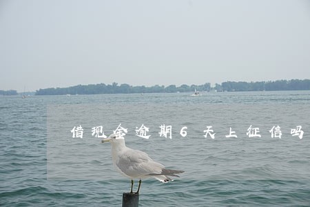 借现金逾期6天上征信吗