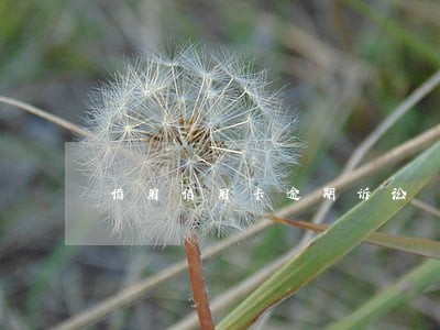 借用信用卡逾期诉讼 借用信用卡逾期诉讼