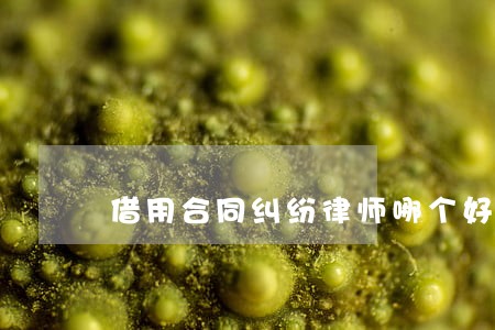 借用合同纠纷律师哪个好 借用合同纠纷律师哪个好
