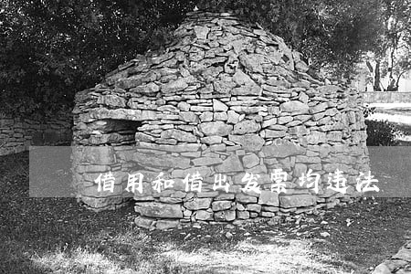 借用和借出发票均违法 借用和借出发票均违法