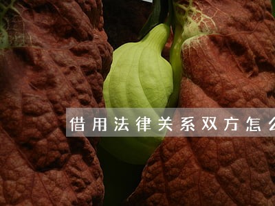 借用法律关系双方怎么称呼 借用法律关系双方怎么称呼