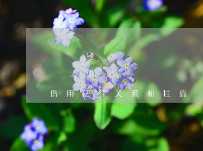 借用法律关系和挂靠 借用法律关系和挂靠