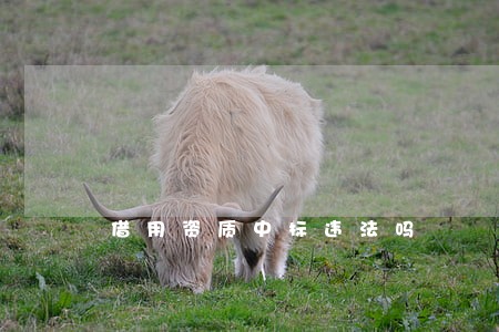 借用资质中标违法吗 借用资质中标违法吗