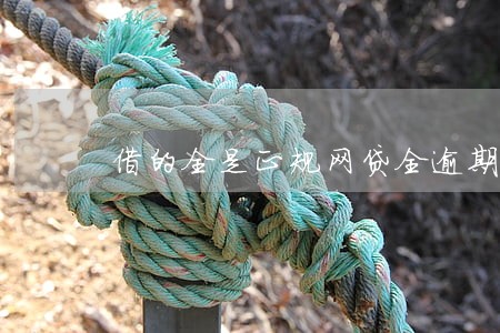 借的全是正规网贷全逾期了