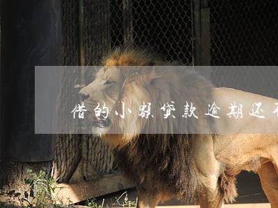 借的小额贷款逾期还不上了 借的小额贷款逾期还不上了