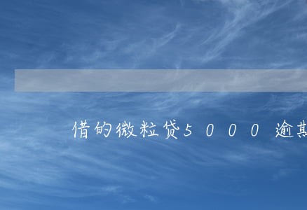 借的微粒贷5000逾期了