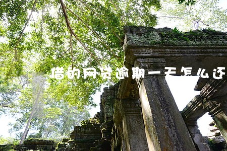 借的网贷逾期一天怎么还不了