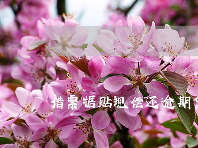 借票据贴现偿还逾期贷款 借票据贴现偿还逾期贷款