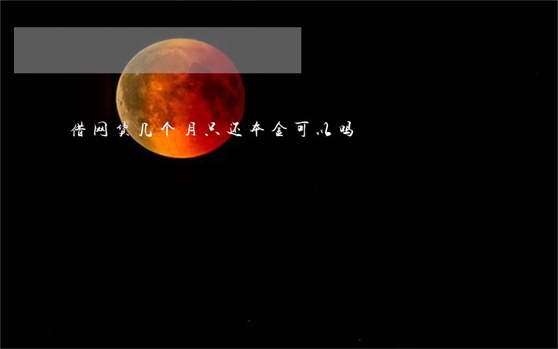 借网货几个月只还本金可以吗