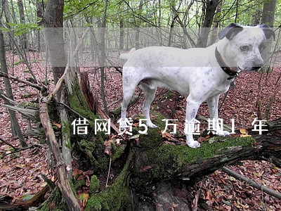 借网贷5万逾期1年