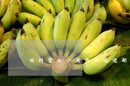借网贷三个月未归还逾期一万多 借网贷三个月未归还逾期一万多