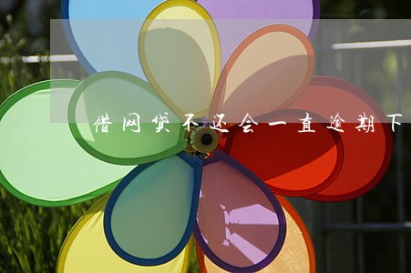 借网贷不还会一直逾期下去吗 借网贷不还会一直逾期下去吗