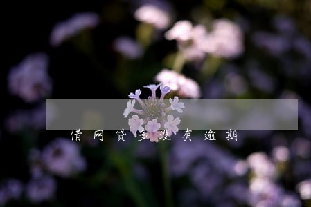 借网贷多没有逾期 借网贷多没有逾期