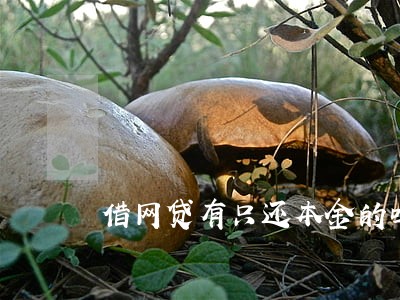 借网贷有只还本金的吗 借网贷有只还本金的吗
