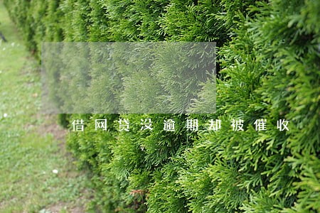 借网贷没逾期却被催收 借网贷没逾期却被催收