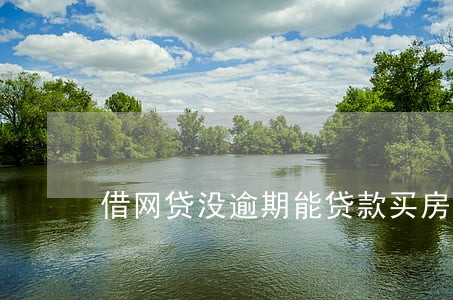 借网贷没逾期能贷款买房吗 借网贷没逾期能贷款买房吗