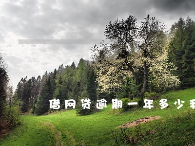 借网贷逾期一年多少利息多少 借网贷逾期一年多少利息多少