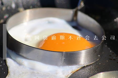 借网贷逾期不还会去公司么 借网贷逾期不还会去公司么