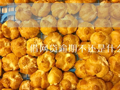 借网贷逾期不还是什么后果 借网贷逾期不还是什么后果