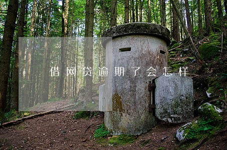 借网贷逾期了会怎样 借网贷逾期了会怎样