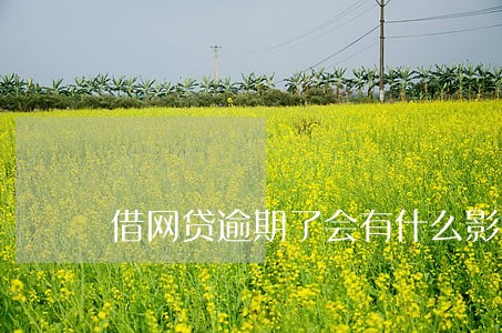 借网贷逾期了会有什么影响 借网贷逾期了会有什么影响