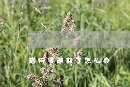 借网贷逾期了怎么办 借网贷逾期了怎么办