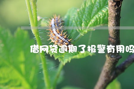借网贷逾期了报警有用吗 借网贷逾期了报警有用吗