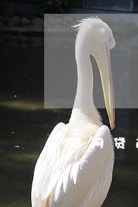 借网贷逾期对征信有影响吗 借网贷逾期对征信有影响吗