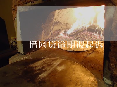借网贷逾期被起诉 借网贷逾期被起诉
