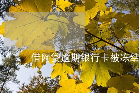 借网贷逾期银行卡被冻结 借网贷逾期银行卡被冻结
