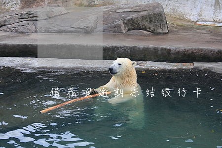 借花呗逾期冻结银行卡 借花呗逾期冻结银行卡