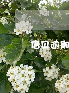 借贝逾期2天罚息 借贝逾期2天罚息