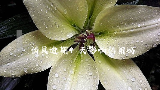 借贝逾期4天影响信用吗 借贝逾期4天影响信用吗