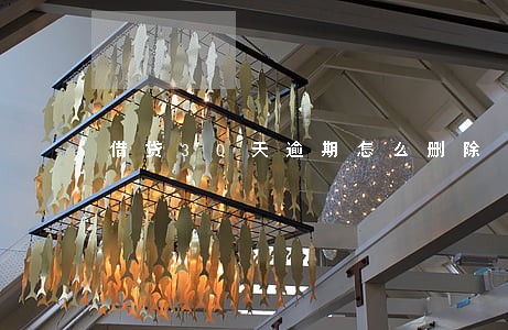 借贷30天逾期怎么删除 借贷30天逾期怎么删除