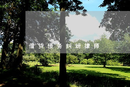 借贷债务纠纷律师