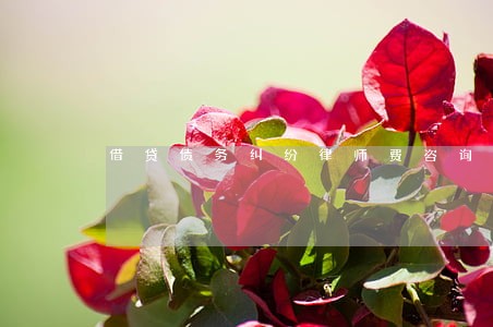 借贷债务纠纷律师费咨询 借贷债务纠纷律师费咨询