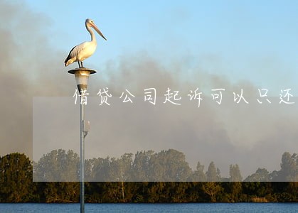 借贷公司起诉可以只还本金吗 借贷公司起诉可以只还本金吗